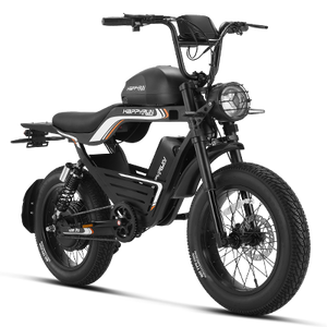HappyRun G100 Pro Fat Tire Electric Dirt Bike