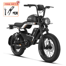HappyRun G100 Pro Fat Tire Electric Dirt Bike